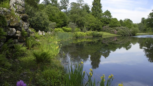A view of the lake by the grotto Claremont with trees reflected on the still water at Claremont Landscape Garden, Surrey
